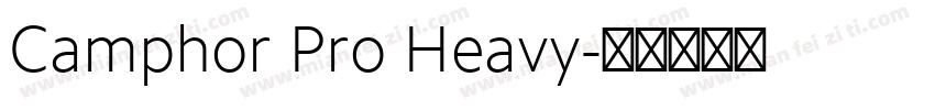 Camphor Pro Heavy字体转换
